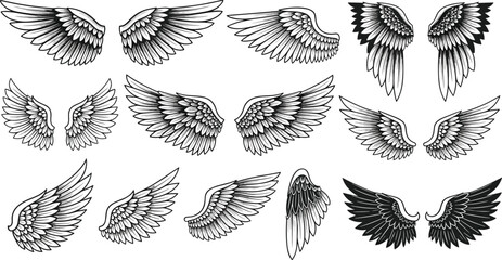 Intricate wing illustration set featuring fourteen pairs with varied feather arrangements, shading styles, and symmetrical designs for fantasy artwork, tattoos, and logos. © IconicCreations