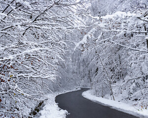 Droga w osniezonym lesie  © ukasz