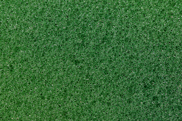 Fototapeta premium Green Sponge Texture