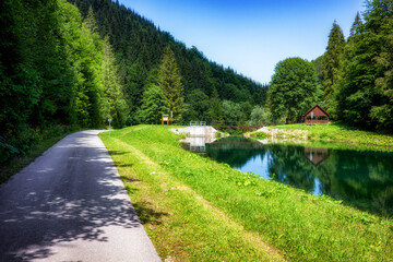 Fototapeta premium Forest reservoir with walking path and reflections of coniferous trees in mountain valley