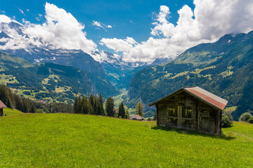 Obraz premium Vibrant summer view of Lauterbrunnen Valley featuring lush green meadows, steep alpine cliffs, and a clear blue sky. A classic and colorful outdoor scene in the Swiss Alps of the Bernese Oberland