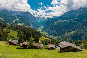 Obraz premium Vibrant summer view of Lauterbrunnen Valley featuring lush green meadows, steep alpine cliffs, and a clear blue sky. A classic and colorful outdoor scene in the Swiss Alps of the Bernese Oberland