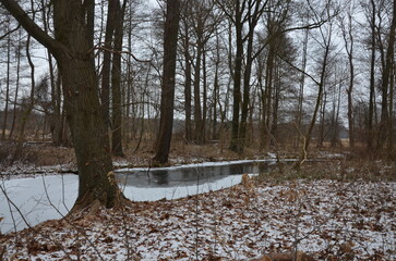 Winter in Straupitz Spreewald
