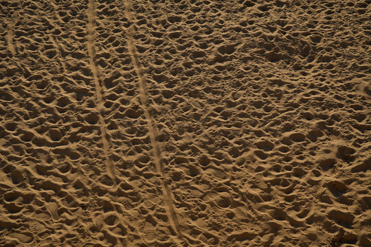 Tire tracks on a sandy beach
