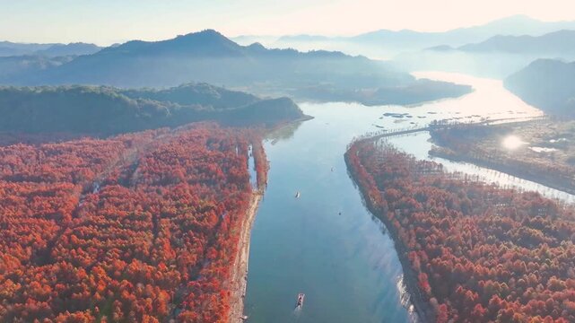 Autumn Larch Forest and Mountain Lake Aerial View
