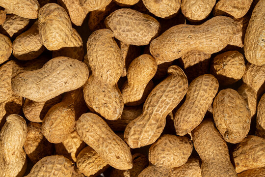 Close up of whole peanuts in shell