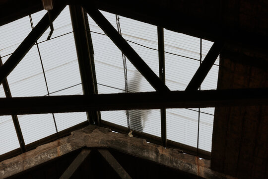 Industrial roof with silhouette through translucent panels