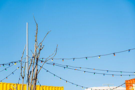 Colorful string lights against vibrant sky with tree