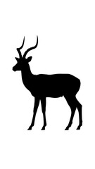 Obraz premium Silhouette of a deer with long horns, standing gracefully against a white backdrop