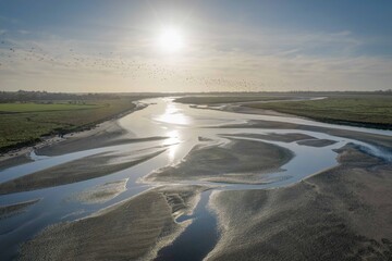 Naklejka premium vue de la rivière de la Sienne 