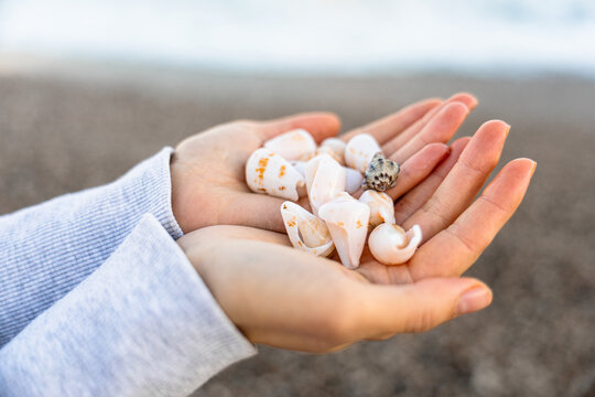 Hands holding seashells by the beach shore