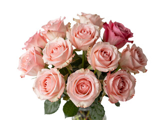Fototapeta premium soft pink roses bouquet, still life composition, studio photography