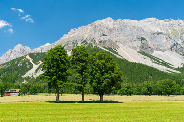  Triple Trees Row Front