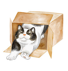 Playful Cat Crawling Out Of Cardboard Box Watercolor Illustration © Yuliia
