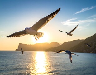Naklejka premium Seagulls soaring over a calm sea, sun setting behind a distant mountain
