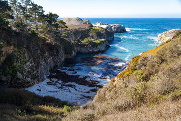 Fototapeta premium Sea Lion Point Point at Lobos California