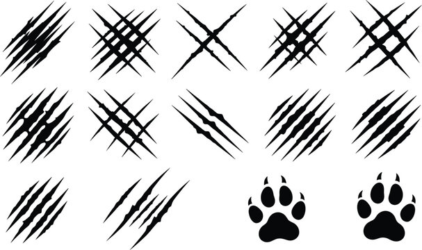arge Set of Black Silhouette Vector Illustrations of Wild Animal Claw Scratch Marks and Predator Paw Prints for Graphic Design