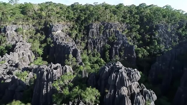 Tsinjy Stone Forest with Madagascar.