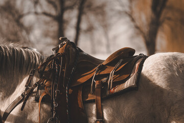 Naklejka premium close up of leather western saddle with horse bridle handing over saddle horn