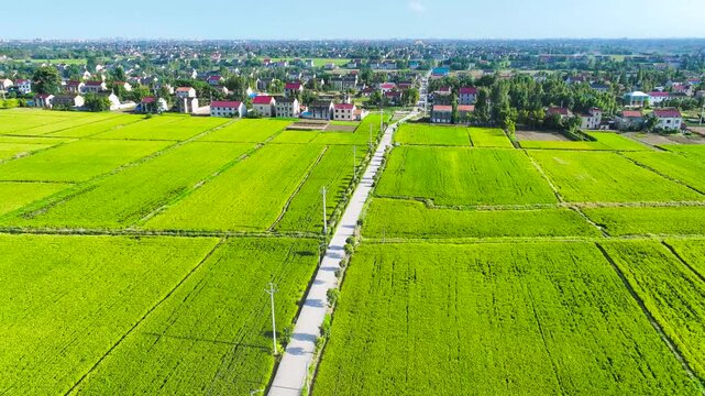 Aerial View of European Rural Village with Green Farmland