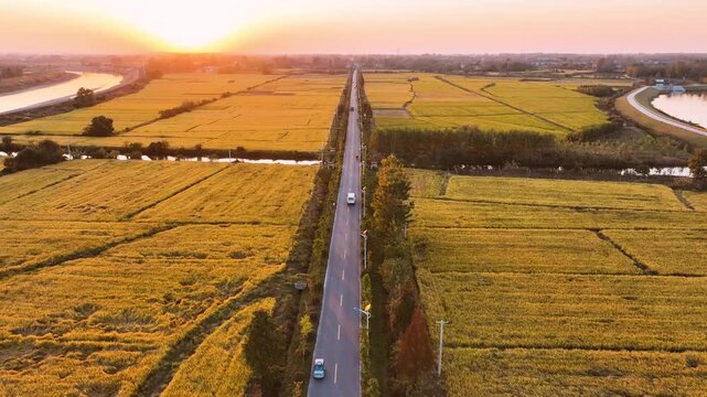 Aerial Agricultural Road at Sunset Through Golden Fields