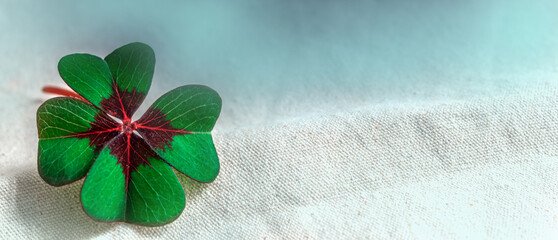 Gl&uuml;cksklee Gl&uuml;cksbringer Gutschein mit Platz f&uuml;r Text zum Beschreiben