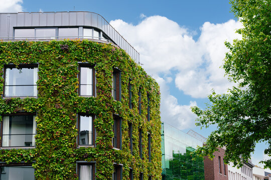 Modern Green Building Facade Covered With Plants