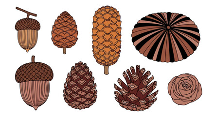 Assorted acorns and pinecones displayed in a graphic illustration set against a simple background from a direct viewpoint