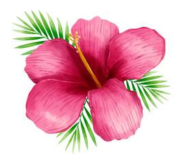 Pink hibiscus flower with green leaves isolated on transparent background transparent background © MorshedBD2