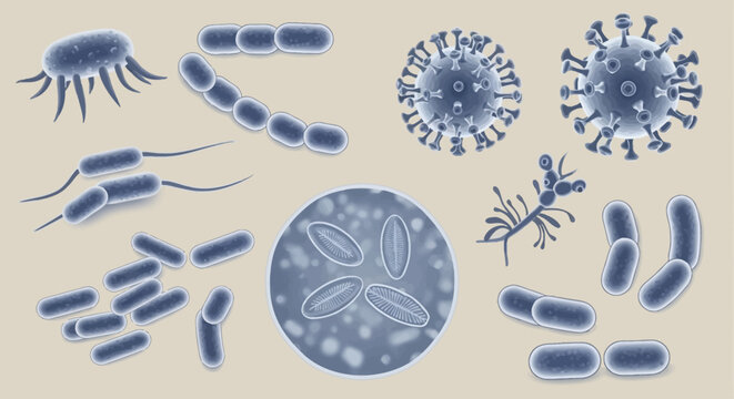 Microscopic view of various bacteria types.