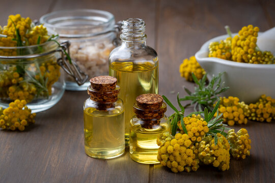 Helichrysum Arenarium oil Medicinal Herb Plant.