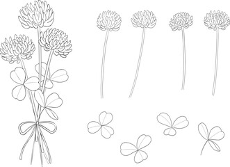 シロツメクサの線画イラストセット　