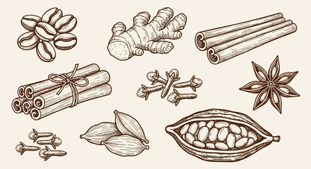 Assorted Spices and Seasonings, Including Cinnamon, Nutmeg, and Cloves, Arranged on a Neutral Background, Illustrated in a Detailed Manner © Adam
