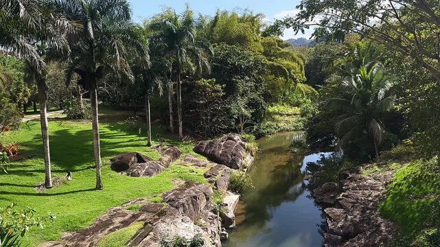 lush tropical river winding through palm trees, stone banks, and dense green forest landscape