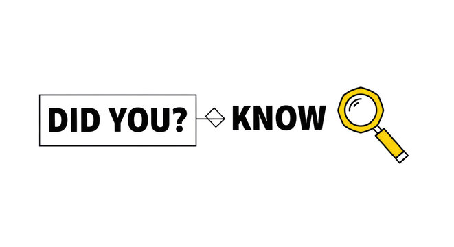 highly stylized flat design vector graphic modules featuring bold typography and a geometric safety yellow magnifying glass icon, connected by a sharp line on transparent. concept of inquiry and facts