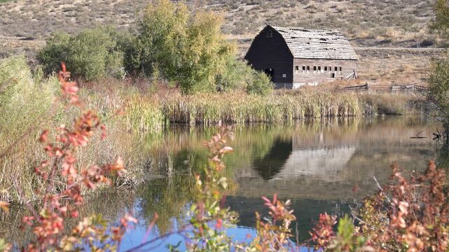 Rustic Haynes Ranch Barn Osoyoos Canada 4K UHD.The Haynes Ranch barn in the Okanagan. This historic site was home to one of the early settlers in the area. British Columbia, Canada. 4K, UHD.
