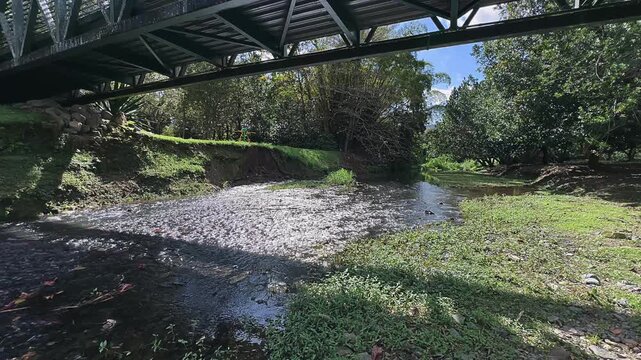 shallow forest creek flowing beneath a metal bridge surrounded by green grass and trees