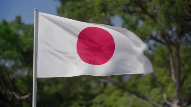 Japanese Flag Waving Generative AI
