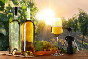 Fototapeta premium Wine and fresh grapes on table. Glass, bottles and corkscrew in vineyard