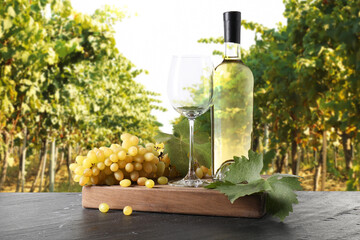 Fototapeta premium Wine and fresh grapes on table. Glass and bottle in vineyard