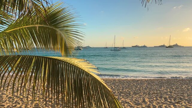 A view of the Caribbean Sea from the island's sandy beach with palm trees during a picturesque sunset. Island Saint Martin, the Caribbean.