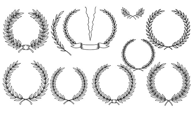 Hand Drawn Laurel Wreath Doodle Circle Set Botanical Outline Floral Vector Frames