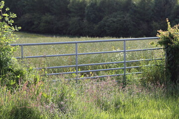 Fototapeta premium Gate across a countryside field in summer