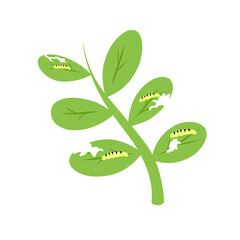 Illustration of a caterpillar eating a green leaf on a white background