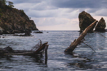Dark Coastal Landscape with Tree Trunk in Water. Moody Bay Scene with Fallen Tree Trunk. Whole Tree Trunk on the Shore in a Gloomy Bay. Lonely Tree Trunk at the Coast Under Overcast Sky. 