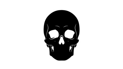 Fototapeta premium Skull silhouette in dark mysterious lighting on for halloween design isolated on a transparent background