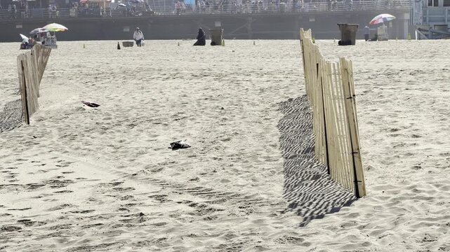 Wooden sand fence casting shadow patterns on beach sand