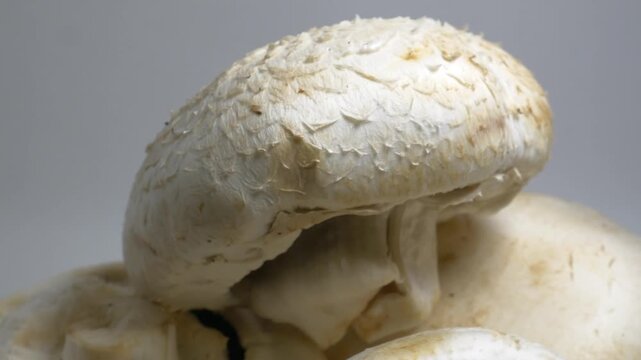 Fresh mushrooms rotate slowly on a white plate in a studio, showcasing their smooth caps and natural textures from a close-up perspective.