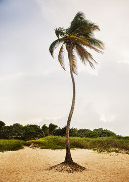 Santa Mar&iacute;a del Mar beach, Cuba, Central America