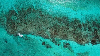 Vista aérea de playa tropical y costa caribeña en la Riviera Maya México drone de Playa del Carmen y el mar Caribe mar turquesa © José Grageda